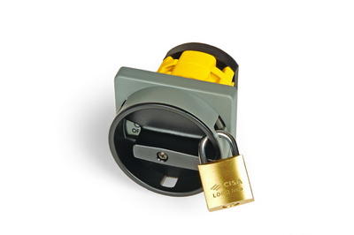 Кулачк. перекл. с ручкой. AS2004R-0901 DKC