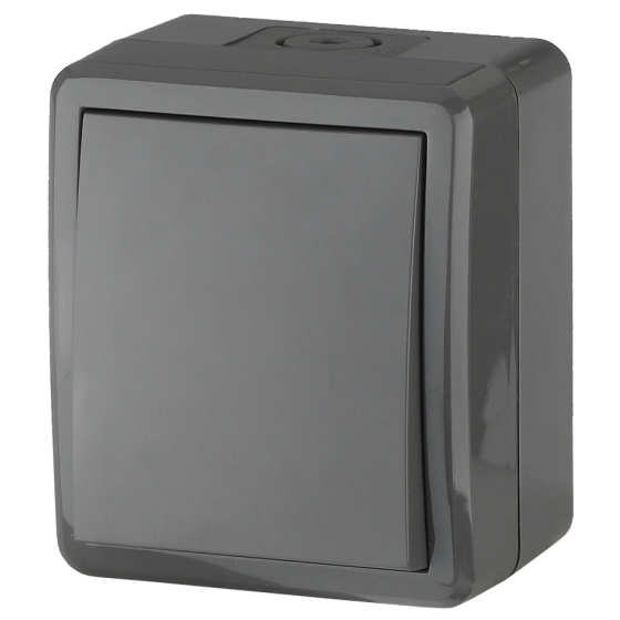 Переключатель IP54, 10АХ-250В, ОУ, Эра Эксперт, серый,11-1403-03 ЭРА