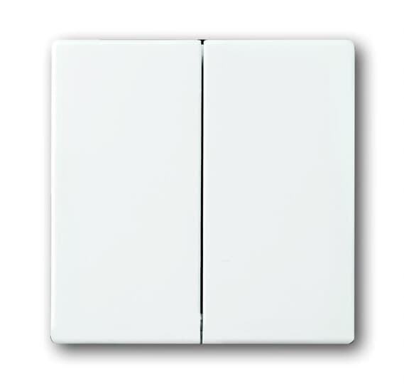 Busch-axcent Накладка выключателя СУ 2 кл . альпийский белый IP20 ABB