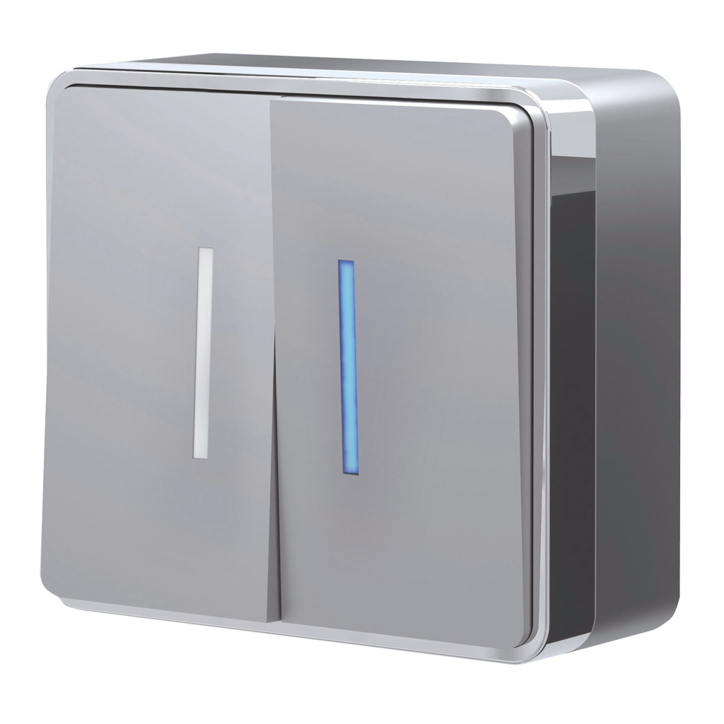 Двухклавишный выключатель 