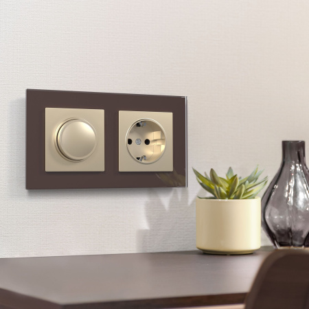 Диммер (шампань) СУ IP20 Werkel