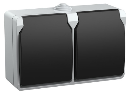 Розетка 2-местная для ОУ РСб22-3-ФСр с з/з ФОРС IP54 IEK