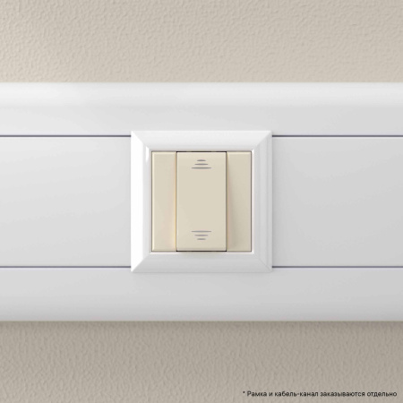 Выключатель модульный, "Avanti", "Ванильная дымка", 1 модуль DKC