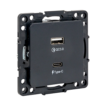 Стокгольм Механизм Розетки с 2USB type-A + type-C черный EKF