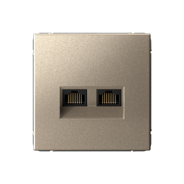 ARTGALLERY РОЗЕТКА двойная компьютерная RJ45+RJ45, кат.6А, механизм, ШАМПАНЬ Systeme Electric