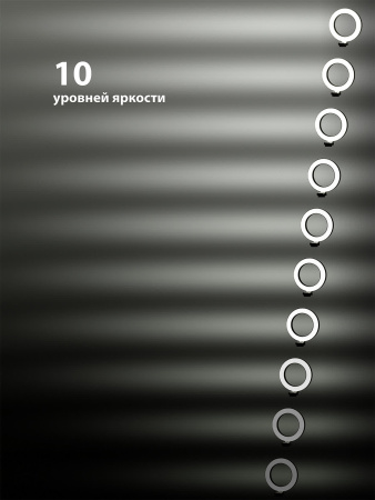 Лампа кольцевая светодиодная 16 см, 6 Вт, 2700-6400 К, штатив наст., диммер, USB, TDM