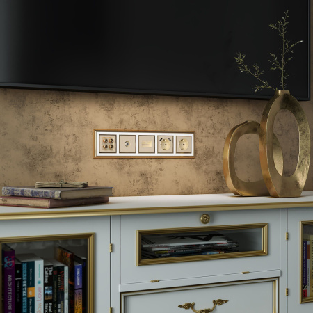 Розетка с заземлением (шампань) СУ IP20 Werkel