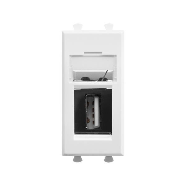 USB 2.0 розетка модульная, тип А-А, "Avanti", "Белое облако", 1 модуль DKC