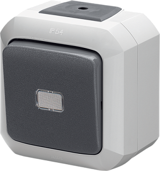 Variant+ Переключатель ОУ 1 кл.с прозрачной линзой 10А серый IP54 ABB