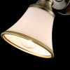 Спот 1*E14 40Вт Латунь IP20 Jasinta FR2272-WL-01-BS Freya