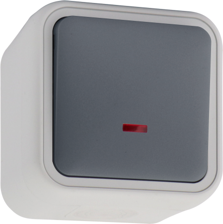 Donel W55 Переключатель 1-кл. накладной с подсветкой, серый, IP55, серия (тип) DIP55