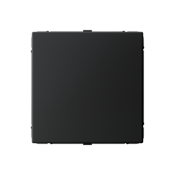 ARTGALLERY ЗАГЛУШКА без суппорта для многопостовых рамок, КАРБОН Systeme Electric