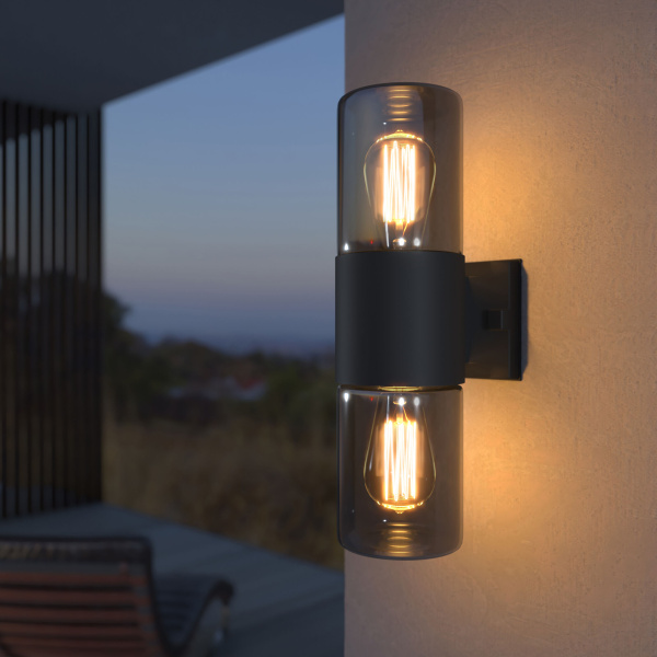 Уличный настенный светильник 2*E27 черный IP54 Roil (a055636) Elektrostandard