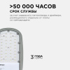 29-01 Светильник светодиодный, уличный, консольный 30Вт, 230/50Гц, 3300лм, 5000К, IP65, КСС "Ш", 380*172*65мм, Ф50мм, серый Apeyron