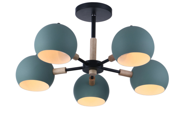 Потолочный светильник 5*E14 40Вт Черный IP20 Trisha FR5032CL-05B Freya