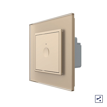 Одноклавишный проходной сенсорный выключатель Module, цвет золотой Livolo