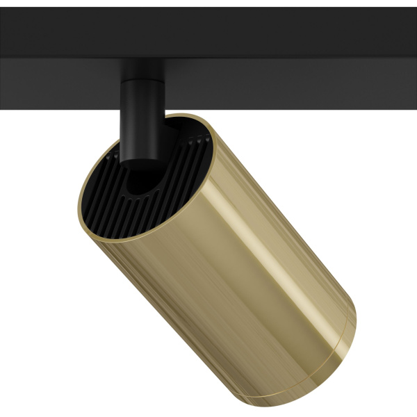 Потолочный светильник 2*GU10 10Вт Черный с Золотом IP20 FOCUS S C051CL-02BG Technical