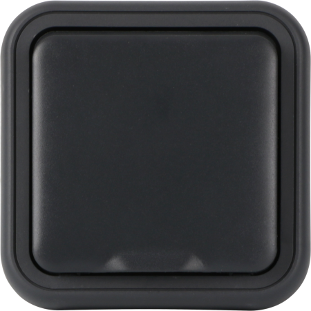 Donel W55 Рамка с крышкой для скрытой установки розетки одиночный, антрацит, IP55, серия (тип) DIP55