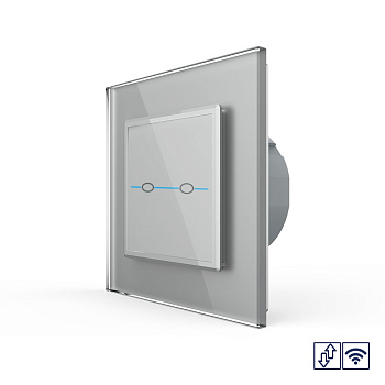 Сенсорный радиоуправляемый выключатель для жалюзи Quadro 2 клавиши 1 модуль Серый Livolo