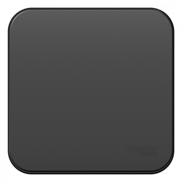 Blanca Выключатель 1-кл О/У (сх.1) с самовозв.,изол.пл.,10А, антрацит Schneider Electric