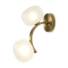 Настенный светильник (бра) 2*G9 30Вт Латунь IP20 Donuts FR5444WL-02BS Freya