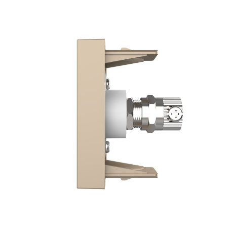 ТВ-розетка золотая (механизм) Livolo