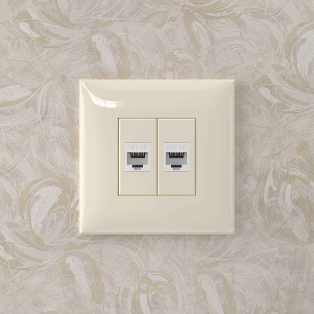 Компьютерная розетка RJ-45 без шторки в стену, кат.5е двойная, "Avanti", "Ванильная дымка" DKC