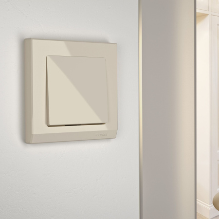 Встраиваемые механизмы Выключатель СУ 1 кл. 10А 00 IP20 Бежевый Werkel