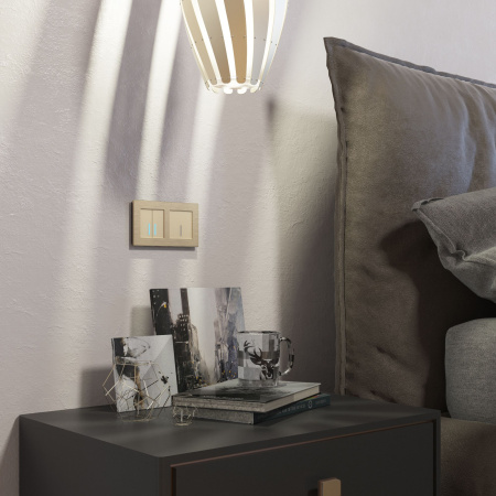 Умный сенсорный выключатель двухклавишный СУ IP20 Werkel