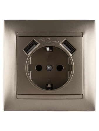 Розетка 2П+З 16А 250В + 2 USB порта 2,1А 5В бронза "Лама" TDM