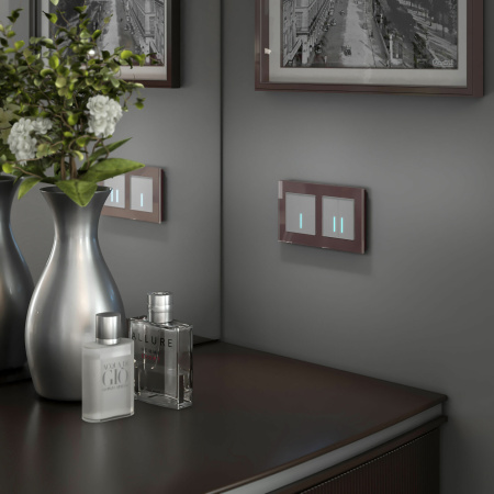 Сенсорный выключатель двухклавишный с подсветкой 1000 Вт (серебряный) СУ IP20 Werkel