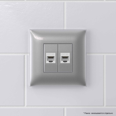 Компьютерная розетка RJ-45 без шторки в стену, кат.6А двойная, "Avanti", "Закаленная сталь" DKC