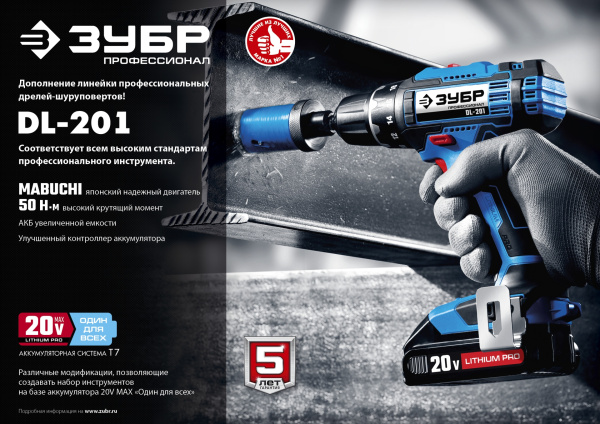 20В, 2 АКБ (2Ач), в кейсе, дрель-шуруповерт, Профессионал. DL-201-22 ЗУБР