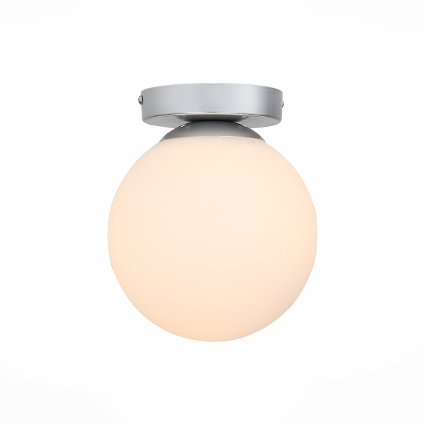 Светильник настенно-потолочный Серебристый/Белый E27 1*40Вт SL717.501.01 EVOLUCE