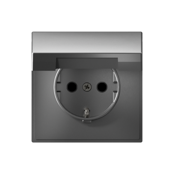ARTGALLERY РОЗЕТКА с заземл. со шторк. с крышкой, 16А, IP20, механизм, СТАЛЬ Systeme Electric