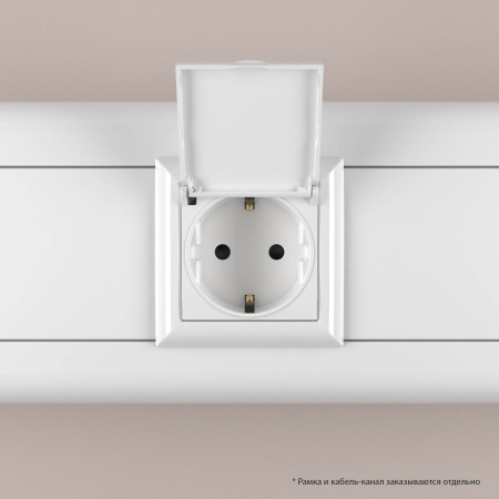 Розетка с крышкой модульная, 2P+E, с з/ш, "Avanti", "Белое облако", 2 модуля DKC