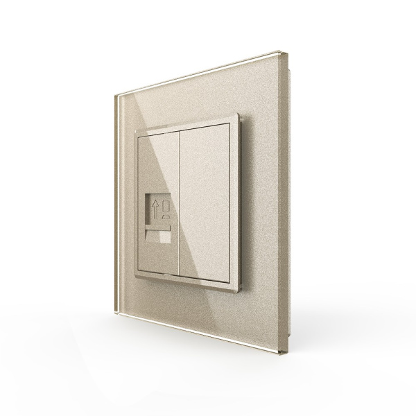 Розетка интернет одинарная RJ-45 кат.6 1 пост, цвет шампань Livolo