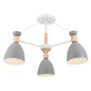Потолочный светильник 3*E27 60Вт Белый IP20 Delia FR5033CL-03W Freya