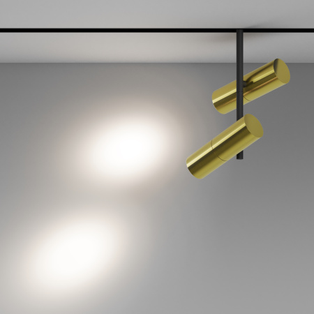 Трековый светильник LED 24Вт Черный и Латунь IP20 Magnetic track system Exility TR005-2-2X12W4K-BBS Technical Maytoni