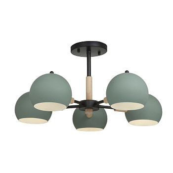 Потолочный светильник 5*E14 40Вт Черный IP20 Trisha FR5032CL-05B Freya