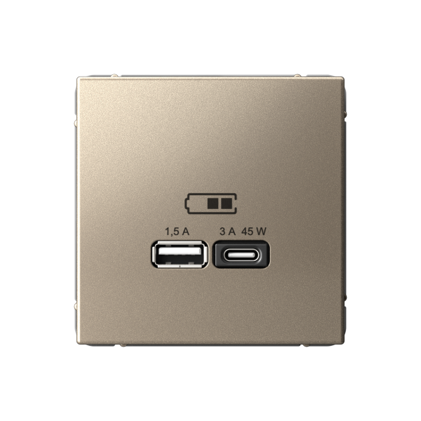 ARTGALLERY USB РОЗЕТКА A + тип-C 45Вт высокоскор.заряд. QC, PD, механизм, ШАМПАНЬ Systeme Electric