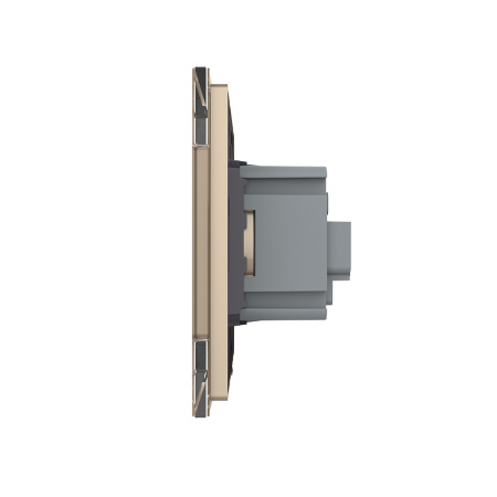 Розетка 1 модуль Золотая Livolo