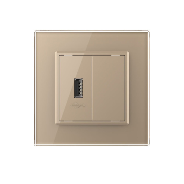 Розетка USB с блоком 5В 2.1А Золотая Livolo