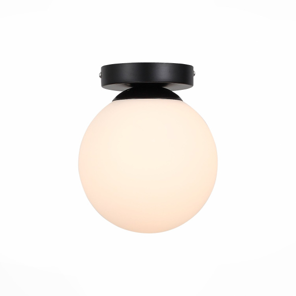 Светильник настенно-потолочный Черный/Белый E27 1*40Вт SL717.401.01 EVOLUCE