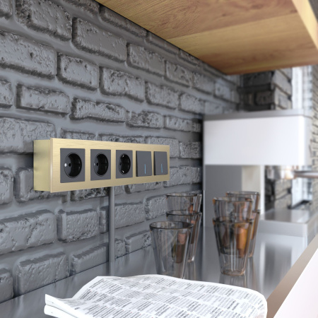 Коробка для накладного монтажа (шампань) Werkel