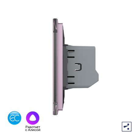 Двухклавишный проходной умный сенсорный выключатель EC, 1 пост, цвет розовый Livolo