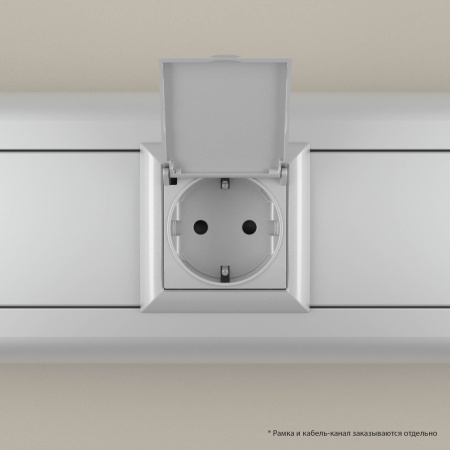Розетка с крышкой модульная, 2P+E, с з/ш, "Avanti", "Закаленная сталь",2 модуля DKC