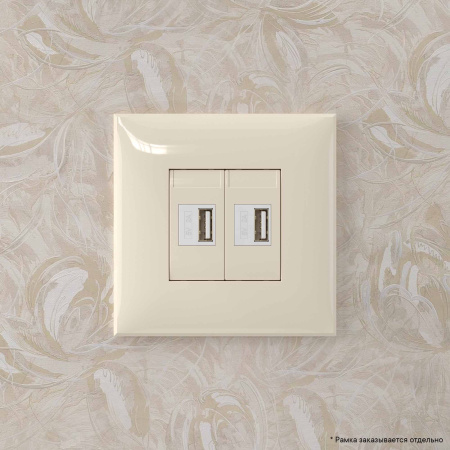 USB зарядное устройство в стену, "Avanti", "Ванильная дымка" DKC