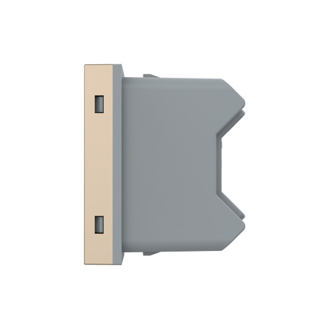 Розетка электрическая 1/2 10A, цвет золотой (механизм) Livolo