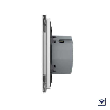 Сенсорный радиоуправляемый выключатель Quadro 1 клавиша 1 пост Серый Livolo